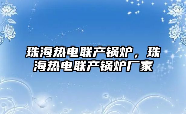 珠海熱電聯產鍋爐，珠海熱電聯產鍋爐廠家