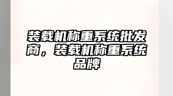 裝載機稱重系統批發商，裝載機稱重系統品牌