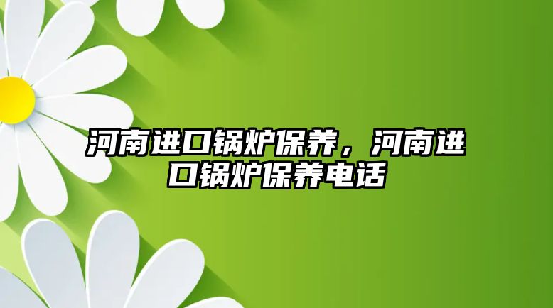 河南進(jìn)口鍋爐保養(yǎng)，河南進(jìn)口鍋爐保養(yǎng)電話