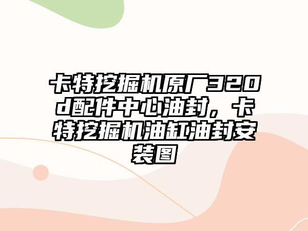 卡特挖掘機原廠320d配件中心油封，卡特挖掘機油缸油封安裝圖