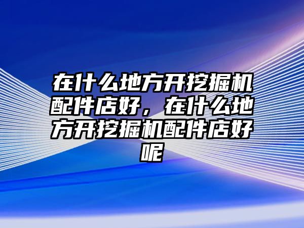 在什么地方開挖掘機(jī)配件店好，在什么地方開挖掘機(jī)配件店好呢