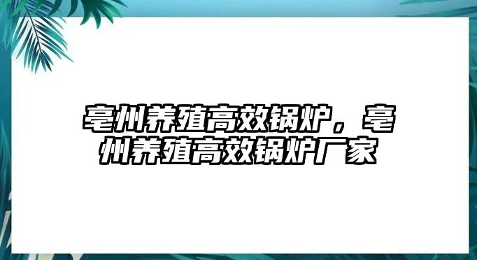 亳州養(yǎng)殖高效鍋爐，亳州養(yǎng)殖高效鍋爐廠家