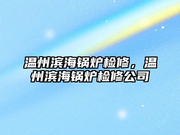 溫州濱海鍋爐檢修，溫州濱海鍋爐檢修公司