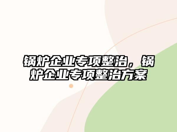 鍋爐企業專項整治，鍋爐企業專項整治方案