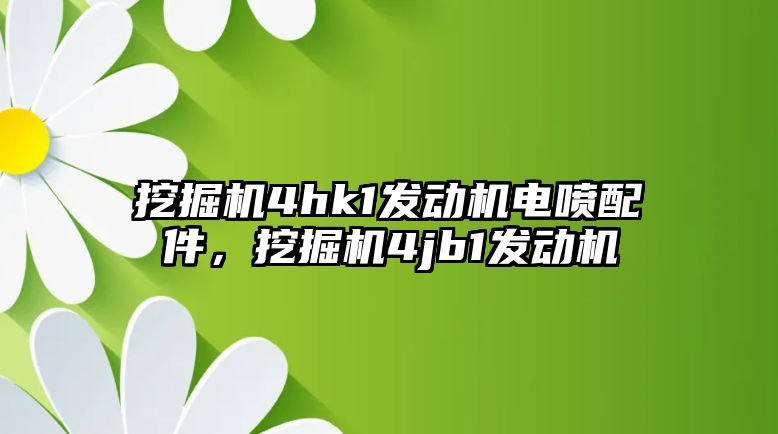 挖掘機4hk1發(fā)動機電噴配件，挖掘機4jb1發(fā)動機