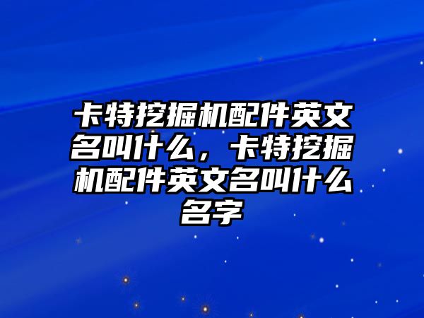 卡特挖掘機配件英文名叫什么，卡特挖掘機配件英文名叫什么名字