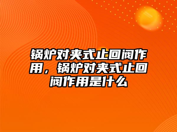 鍋爐對夾式止回閥作用，鍋爐對夾式止回閥作用是什么