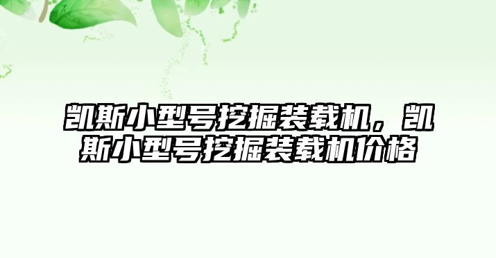 凱斯小型號挖掘裝載機，凱斯小型號挖掘裝載機價格