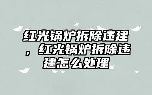 紅光鍋爐拆除違建，紅光鍋爐拆除違建怎么處理