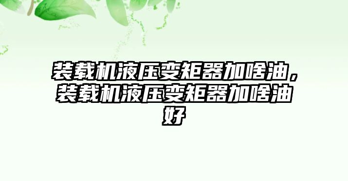 裝載機液壓變矩器加啥油，裝載機液壓變矩器加啥油好