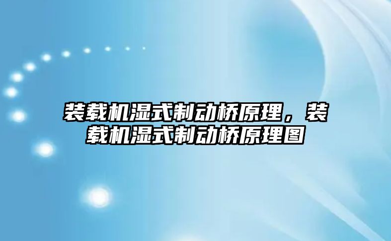 裝載機濕式制動橋原理，裝載機濕式制動橋原理圖