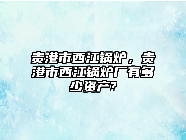 貴港市西江鍋爐，貴港市西江鍋爐廠有多少資產(chǎn)?