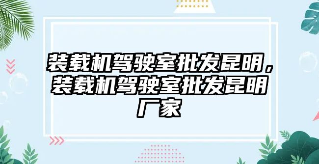 裝載機駕駛室批發昆明，裝載機駕駛室批發昆明廠家