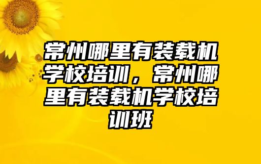 常州哪里有裝載機(jī)學(xué)校培訓(xùn)，常州哪里有裝載機(jī)學(xué)校培訓(xùn)班